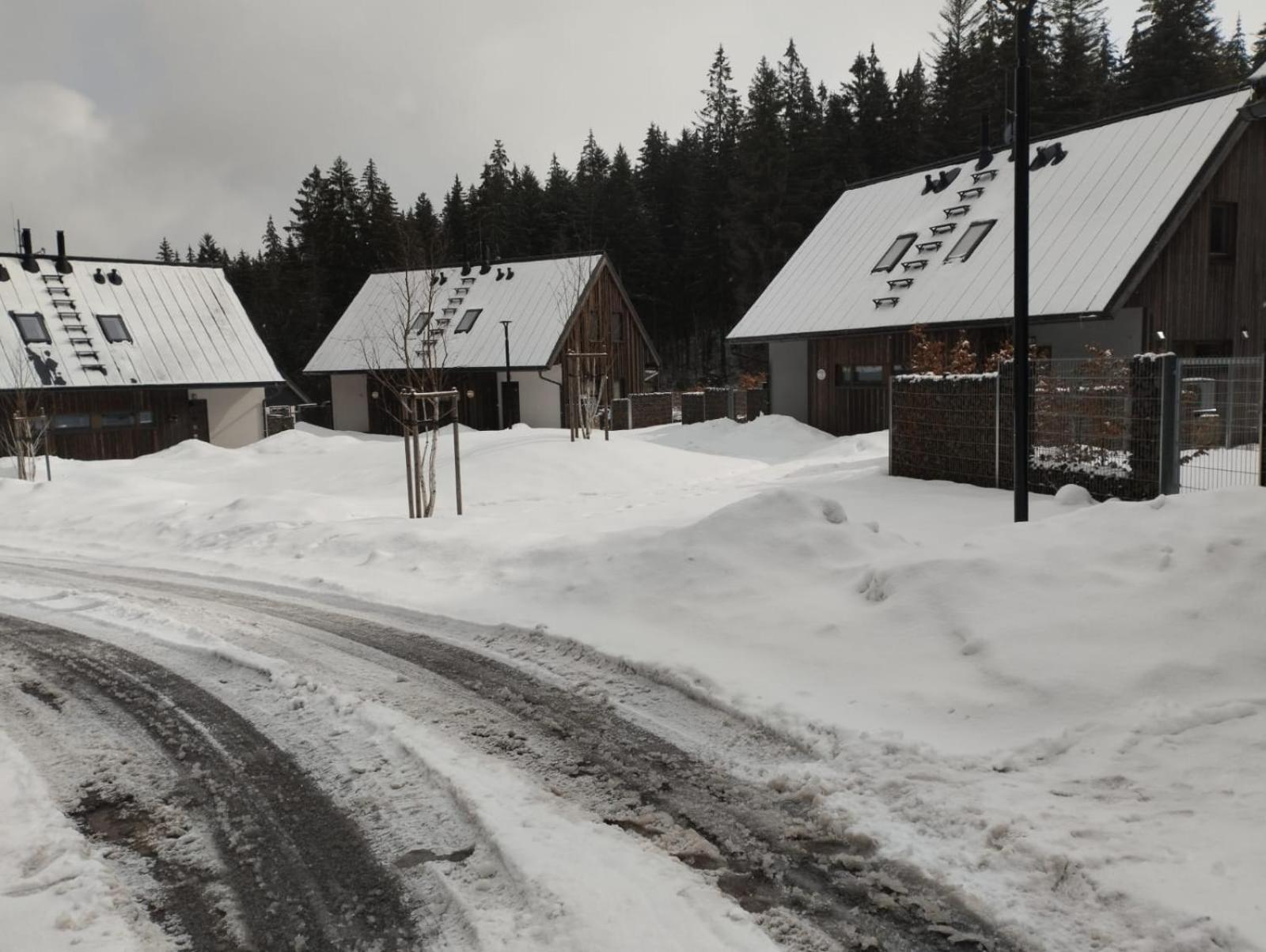 Apartmany Zlaty Hamr Svoboda nad Upou Exterior photo